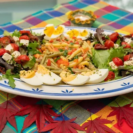 Temple Of Hedon Wellness And Sleep Ankeveen