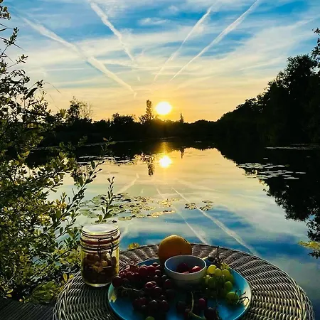 Temple Of Hedon Wellness And Sleep