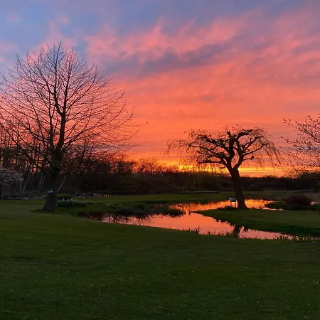 Temple Of Hedon Wellness And Sleep Resort