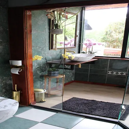 Temple Of Hedon Wellness And Sleep *