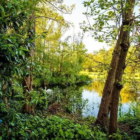 Temple Of Hedon Wellness And Sleep