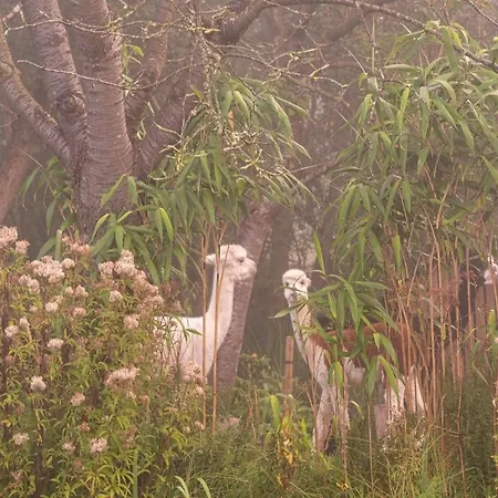 Temple Of Hedon Wellness And Sleep Resort Ankeveen